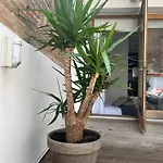 Born Penthouse Loft 1 *