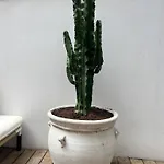 Born Penthouse Loft 1 Διαμέρισμα *