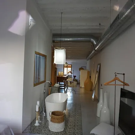 Born Penthouse Loft 1
