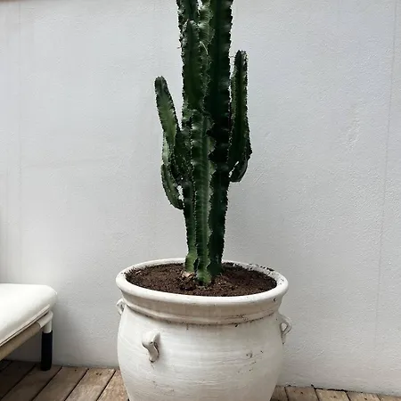 Born Penthouse Loft 1 דירה *